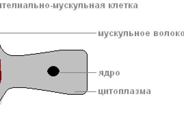 Кракен официальная ссылка vtor run