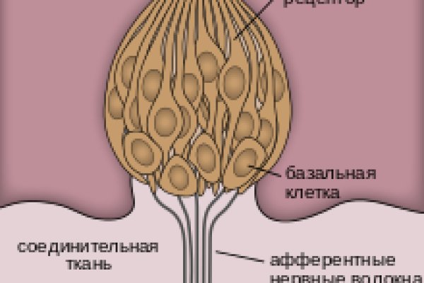 Kraken 12at сайт