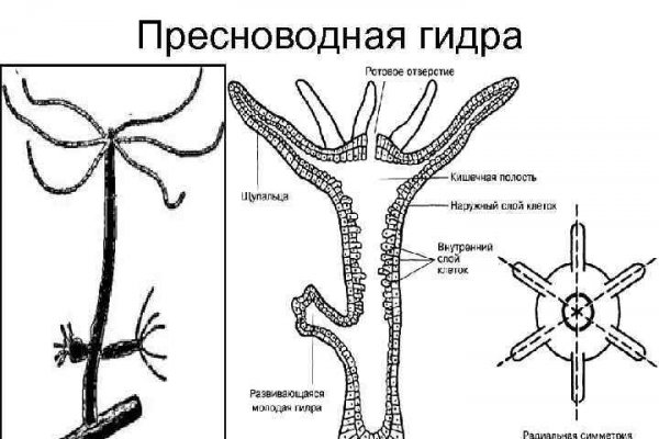 Кракен магазин наркоты